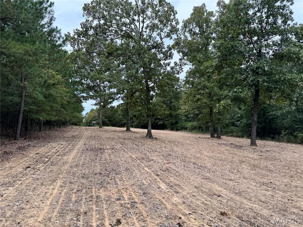 Photo 34 - Farm for sale – 689  Hoot Owl Lane  Grandin, MO