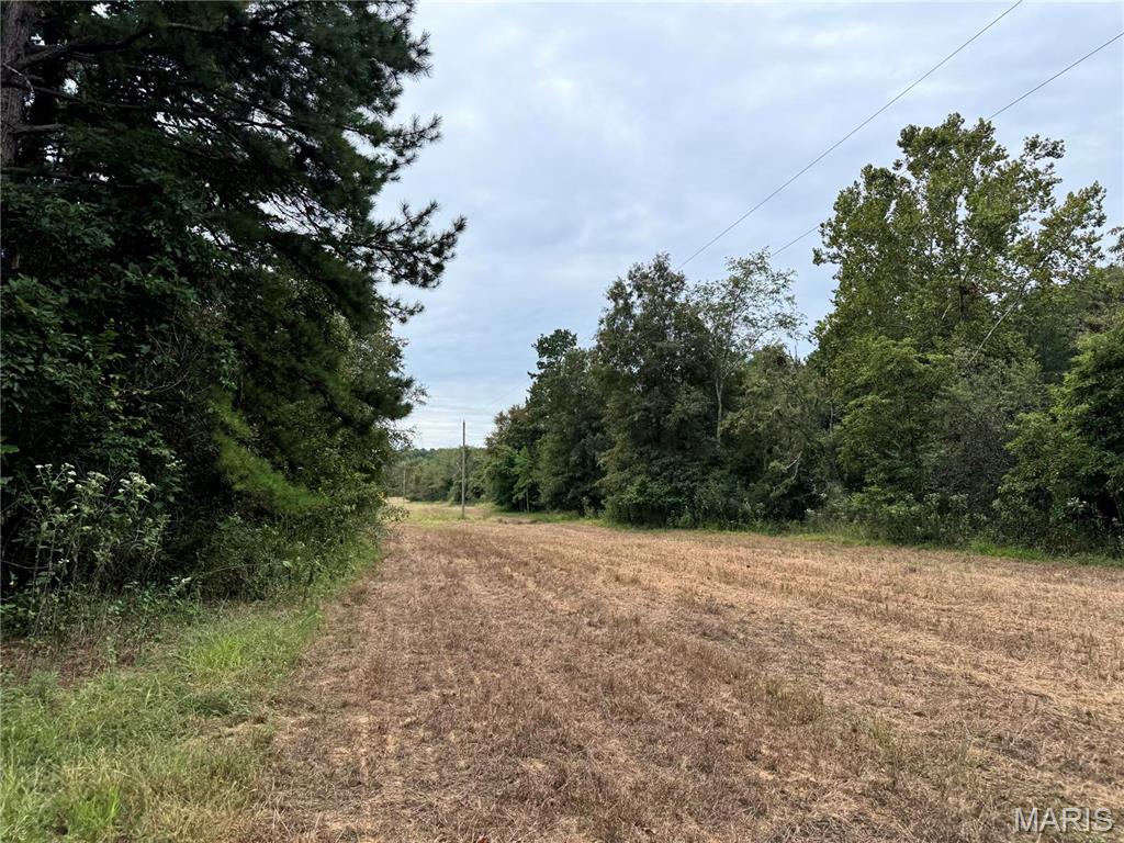 Photo 22 - Farm for sale – 689  Hoot Owl Lane  Grandin, MO