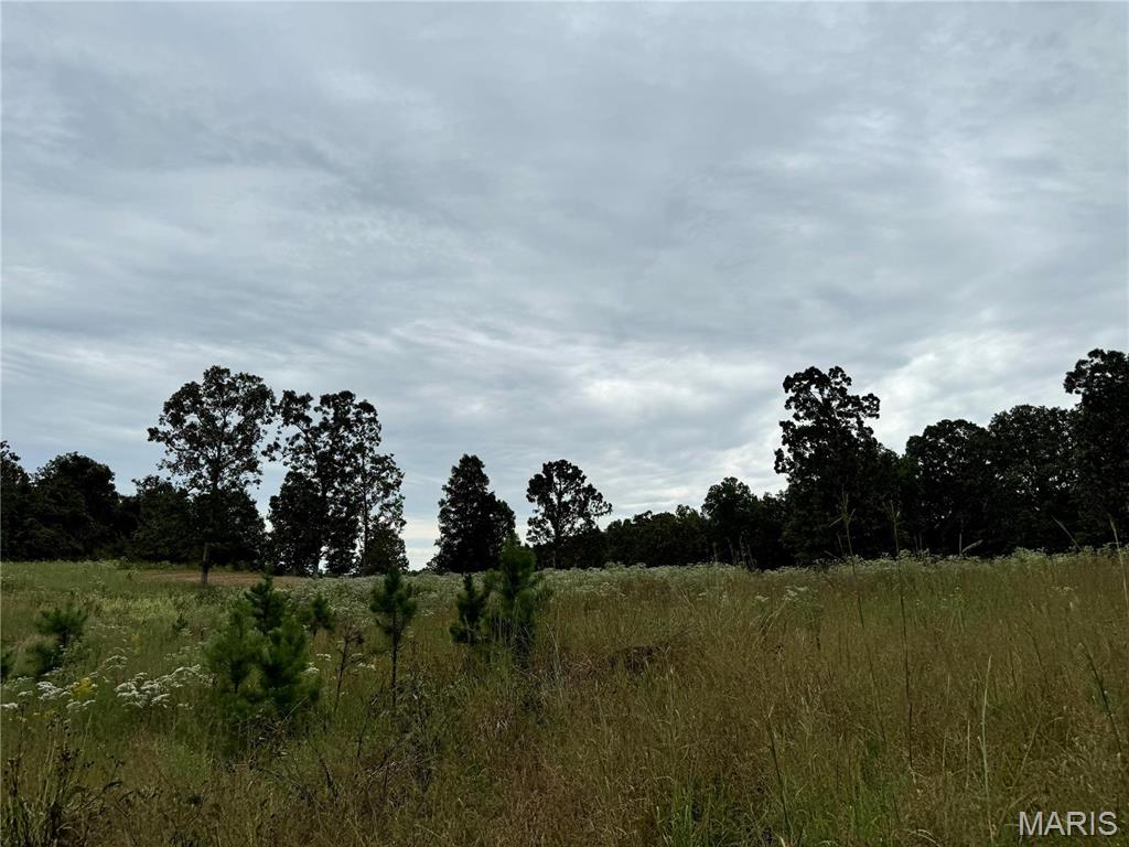 Photo 28 - Farm for sale – 689  Hoot Owl Lane  Grandin, MO