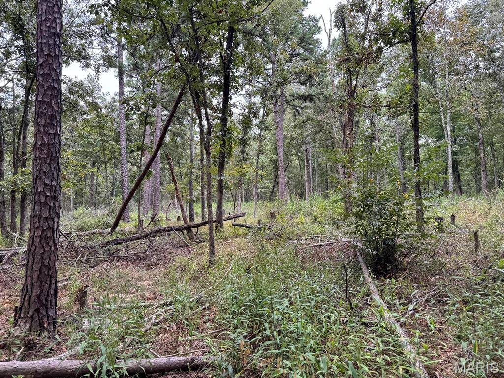 Photo 15 - Farm for sale – 689  Hoot Owl Lane  Grandin, MO