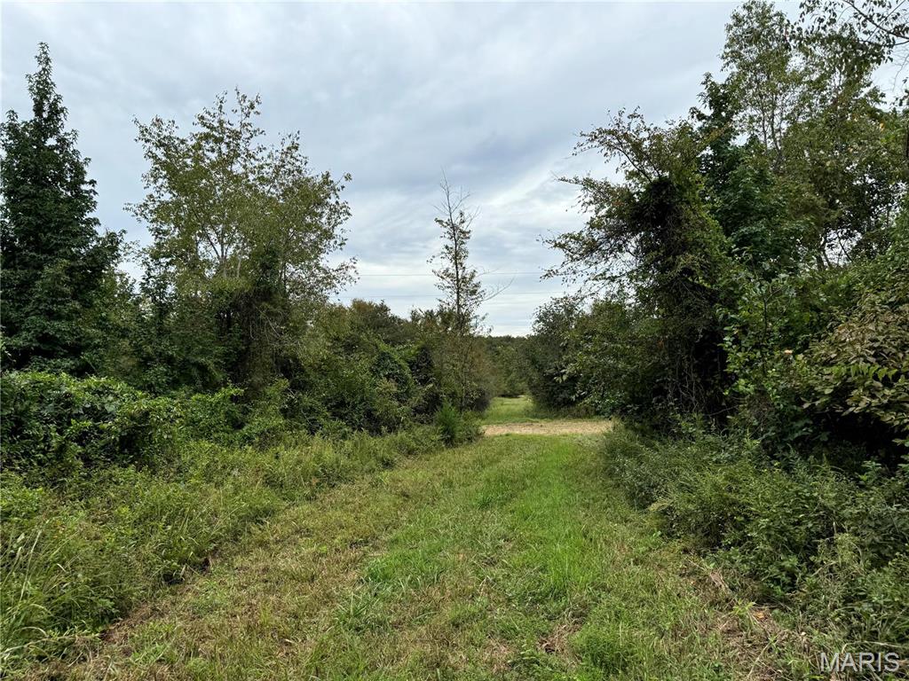 Photo 19 - Farm for sale – 689  Hoot Owl Lane  Grandin, MO