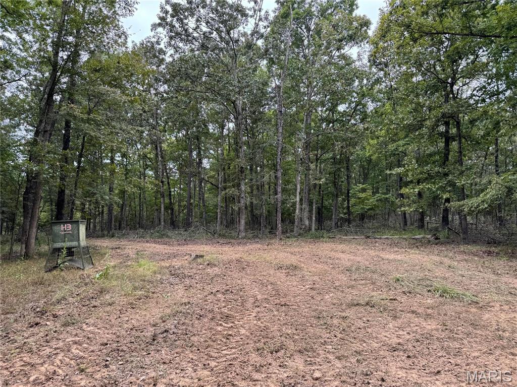 Photo 16 - Farm for sale – 689  Hoot Owl Lane  Grandin, MO