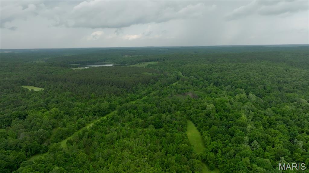 Photo 45 - Farm for sale – 689  Hoot Owl Lane  Grandin, MO