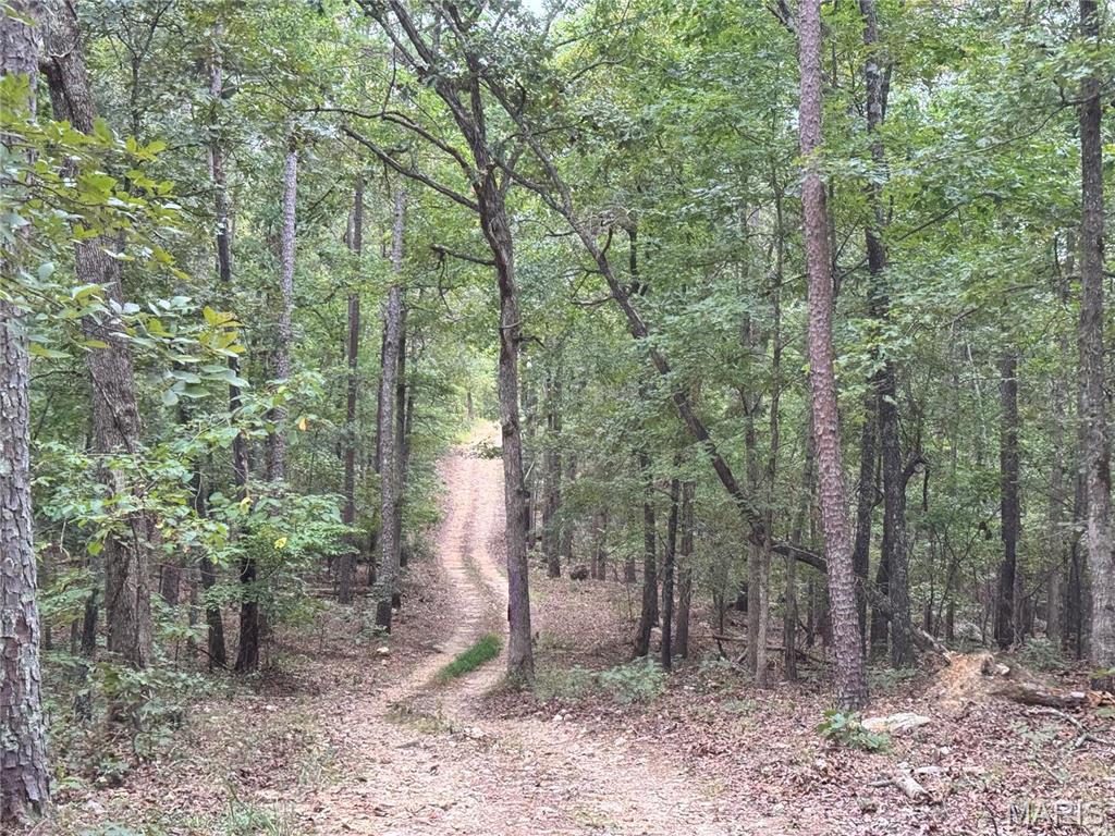 Photo 36 - Farm for sale – 689  Hoot Owl Lane  Grandin, MO