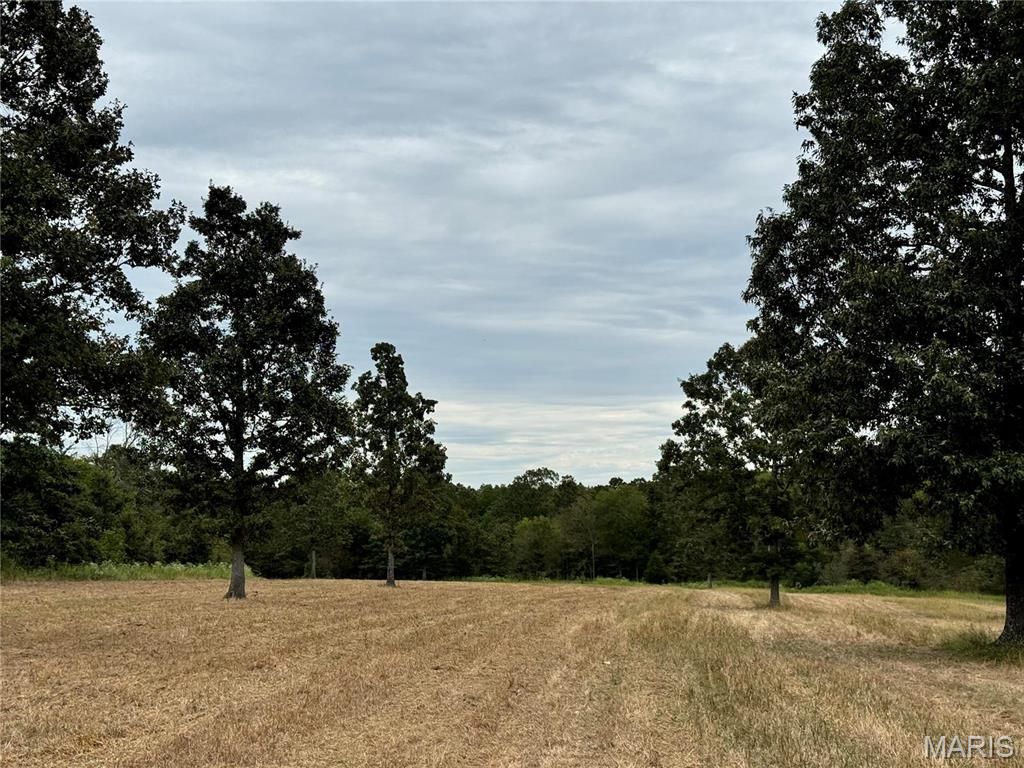 Photo 31 - Farm for sale – 689  Hoot Owl Lane  Grandin, MO