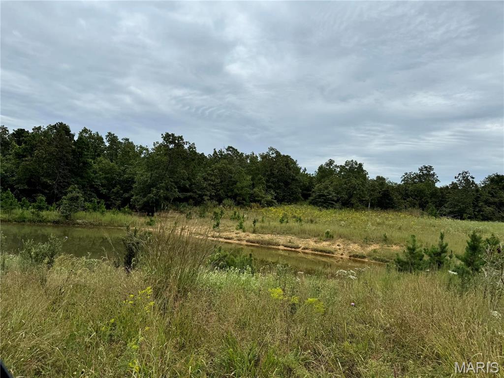 Photo 27 - Farm for sale – 689  Hoot Owl Lane  Grandin, MO