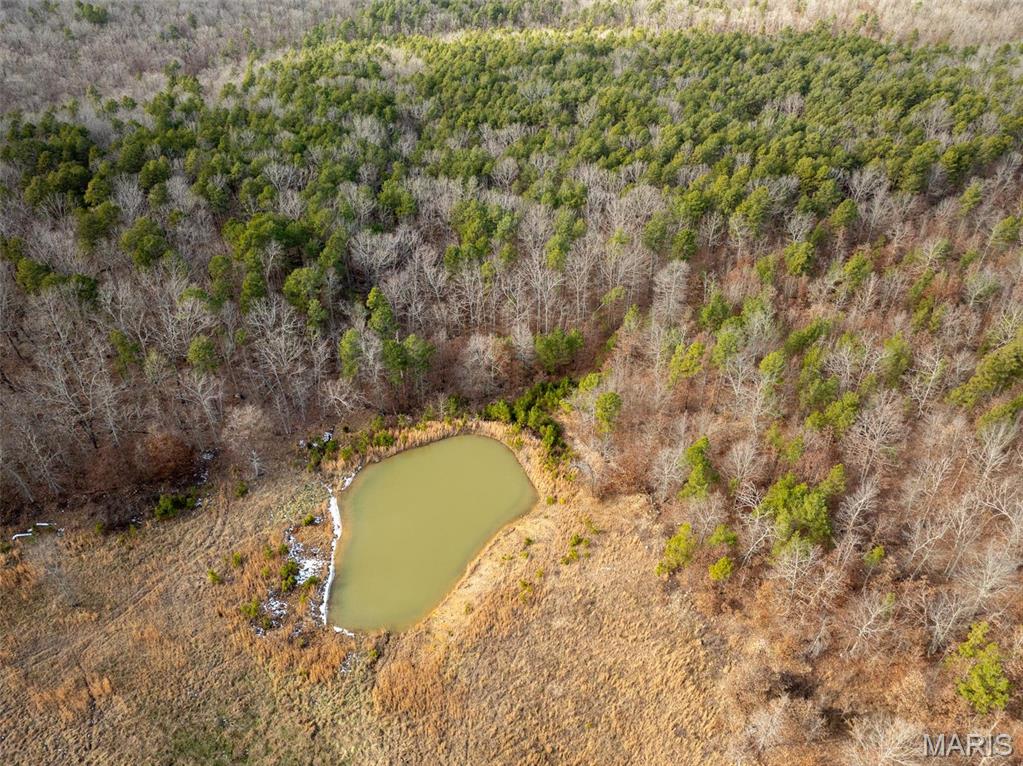 Photo 54 - Farm for sale – 689  Hoot Owl Lane  Grandin, MO