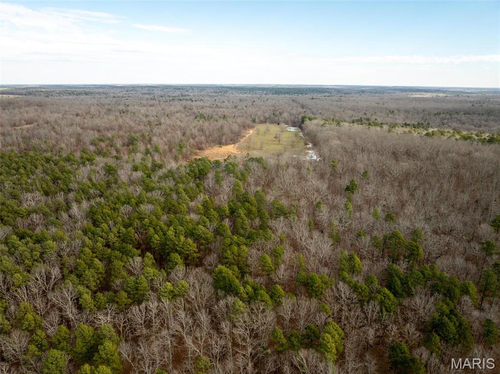 Photo 47 - Farm for sale – 689  Hoot Owl Lane  Grandin, MO