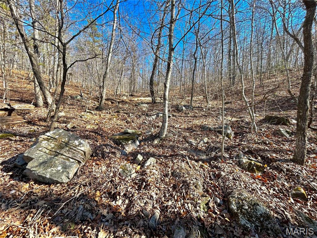 Photo 6 - Farm for sale – 0  40.4 Acres County Road 5650   Bunker, MO
