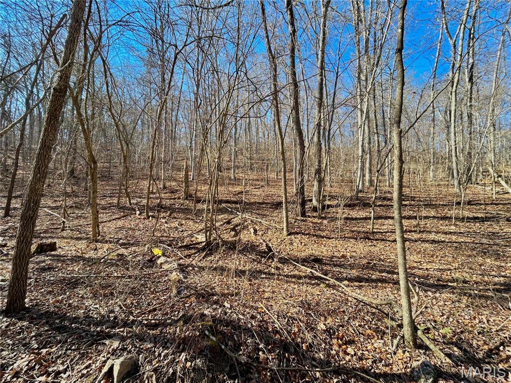 Photo 12 - Farm for sale – 0  40.4 Acres County Road 5650   Bunker, MO