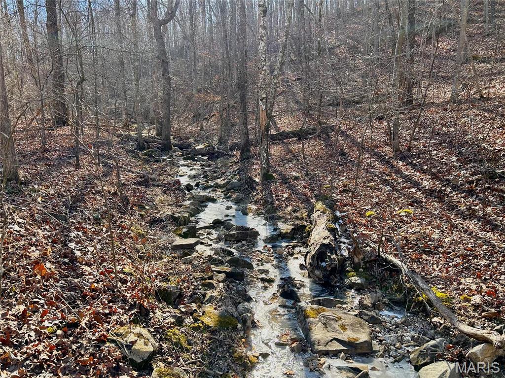 Photo 15 - Farm for sale – 0  40.4 Acres County Road 5650   Bunker, MO