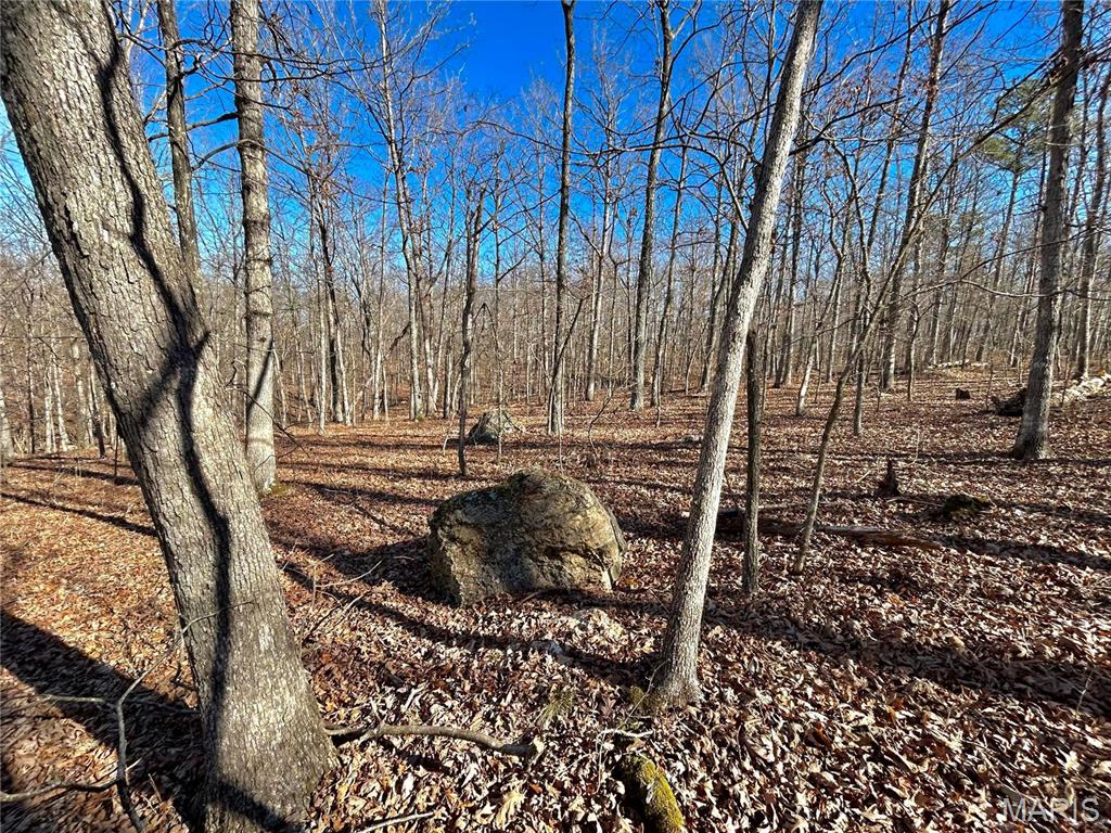 Photo 3 - Farm for sale – 0  40.4 Acres County Road 5650   Bunker, MO