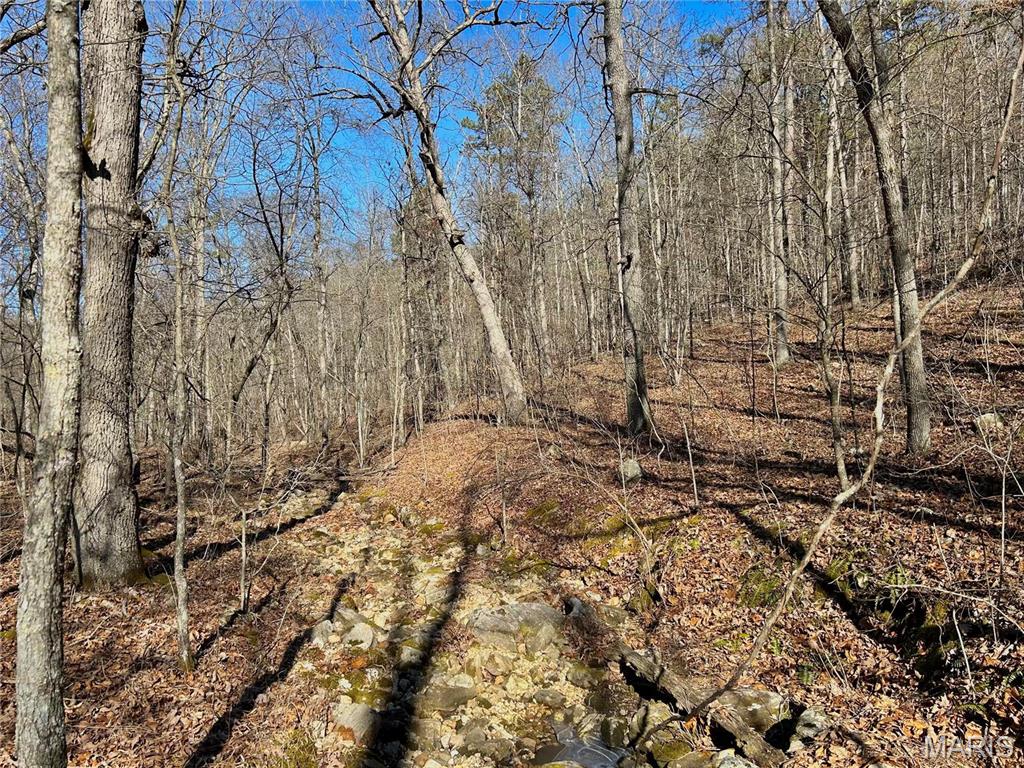 Photo 11 - Farm for sale – 0  40.4 Acres County Road 5650   Bunker, MO