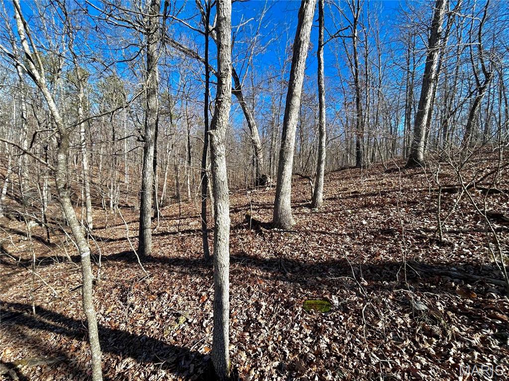 Photo 4 - Farm for sale – 0  40.4 Acres County Road 5650   Bunker, MO