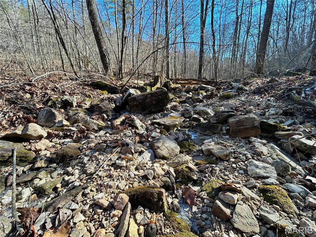 Photo 18 - Farm for sale – 0  40.4 Acres County Road 5650   Bunker, MO