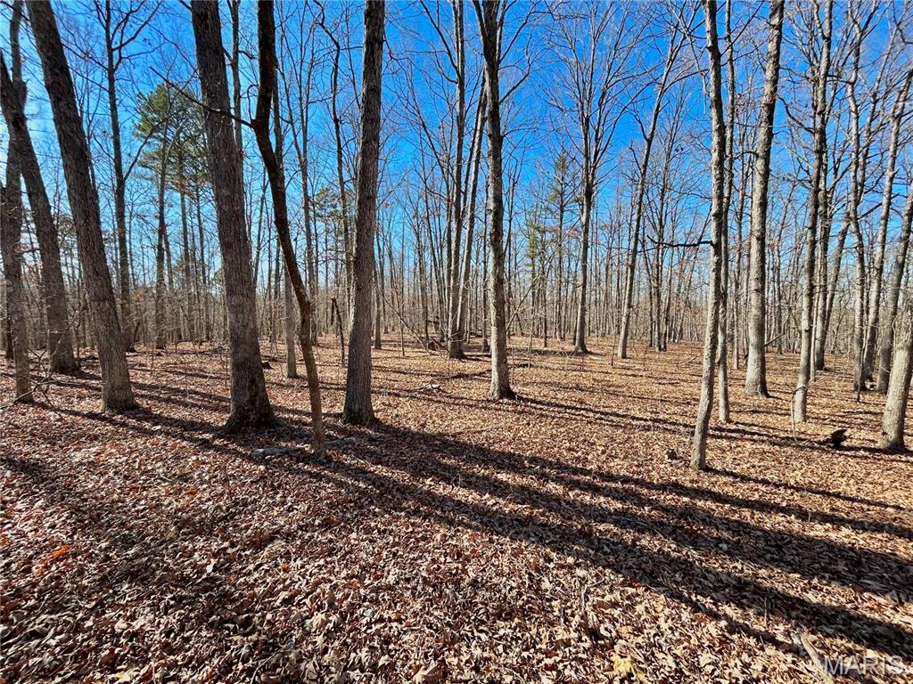 Listing 579962