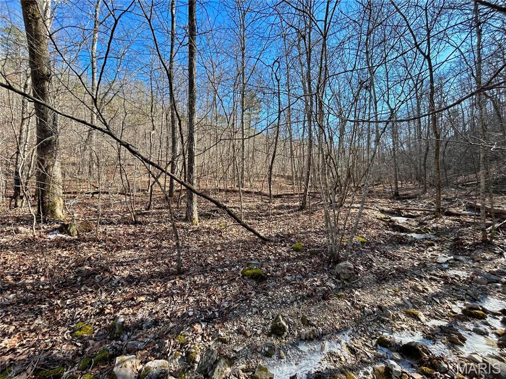 Photo 16 - Farm for sale – 0  40.4 Acres County Road 5650   Bunker, MO