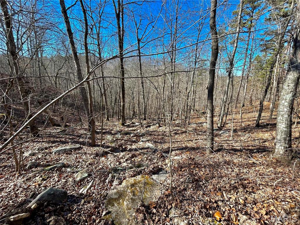 Photo 7 - Farm for sale – 0  40.4 Acres County Road 5650   Bunker, MO