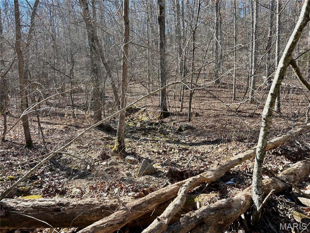 Photo 10 - Farm for sale – 0  40.4 Acres County Road 5650   Bunker, MO