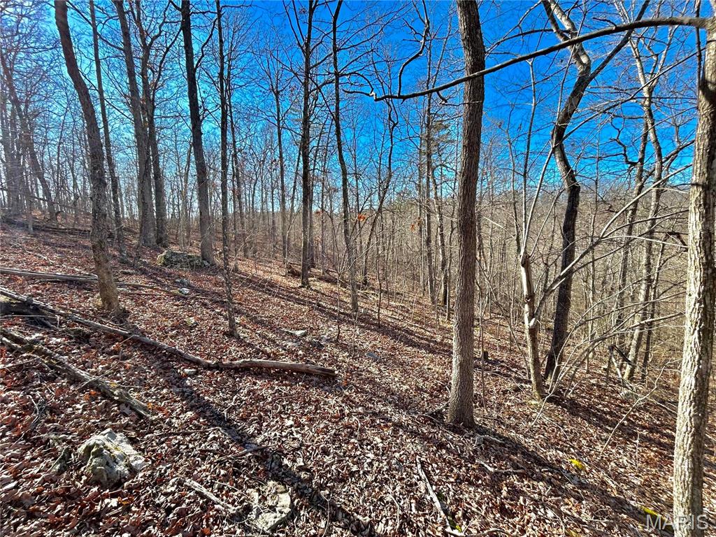 Photo 20 - Farm for sale – 0  40.4 Acres County Road 5650   Bunker, MO