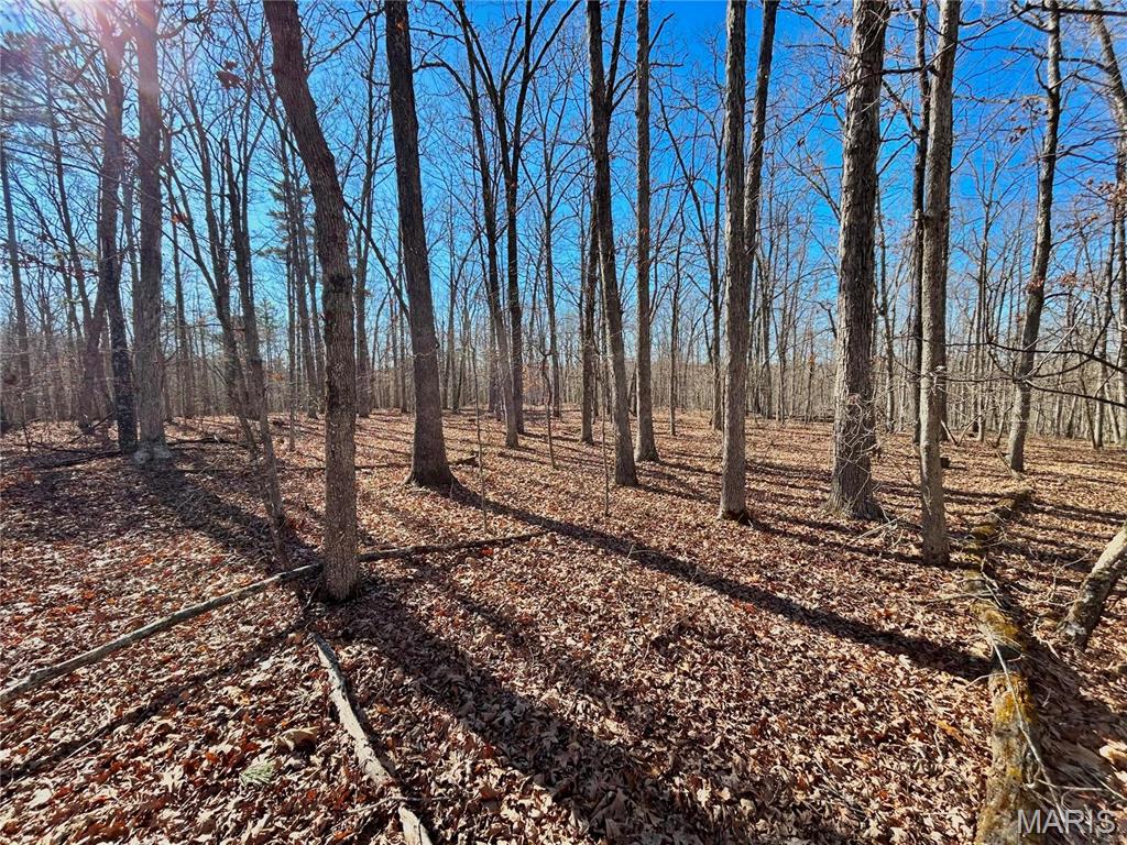 Photo 2 - Farm for sale – 0  40.4 Acres County Road 5650   Bunker, MO