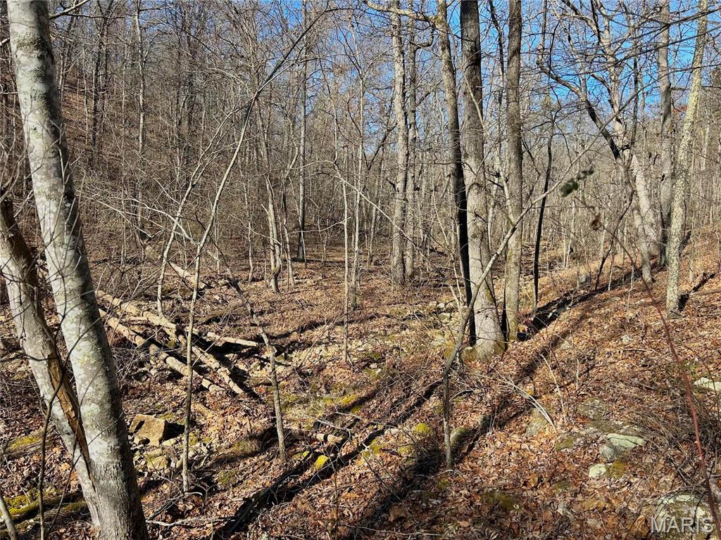 Photo 9 - Farm for sale – 0  40.4 Acres County Road 5650   Bunker, MO