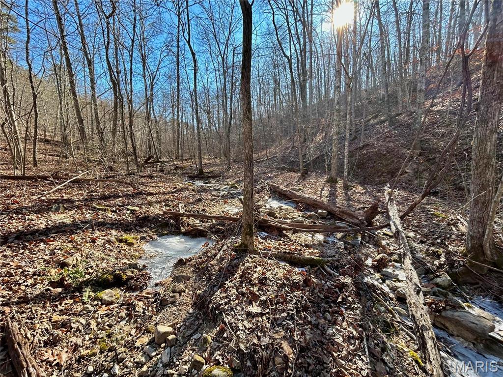 Photo 17 - Farm for sale – 0  40.4 Acres County Road 5650   Bunker, MO