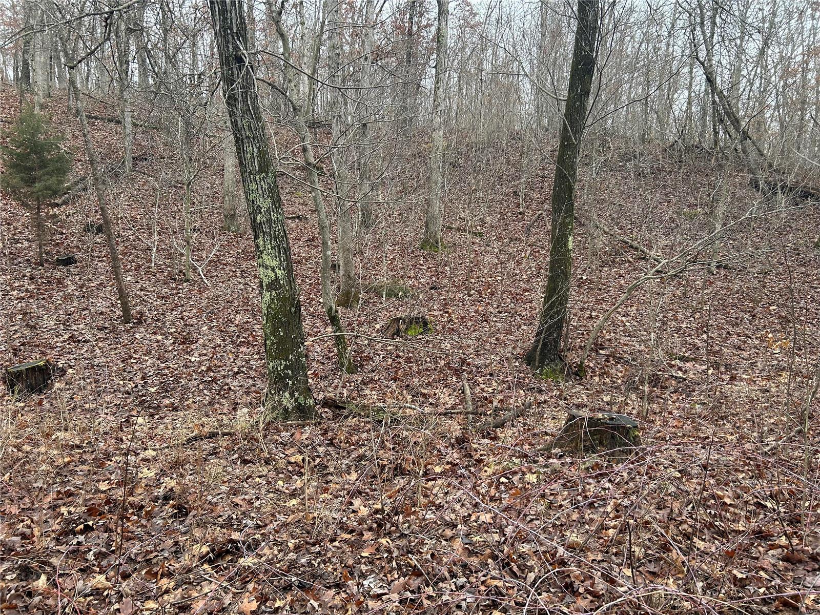 Photo 7 - Farm for sale – 0  Private Drive 6388   Newburg, MO