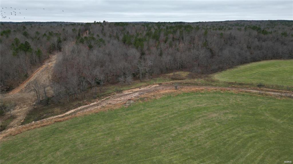 Farm/Ranch/Land for sale – 15524  CR 615   Birch Tree, MO
