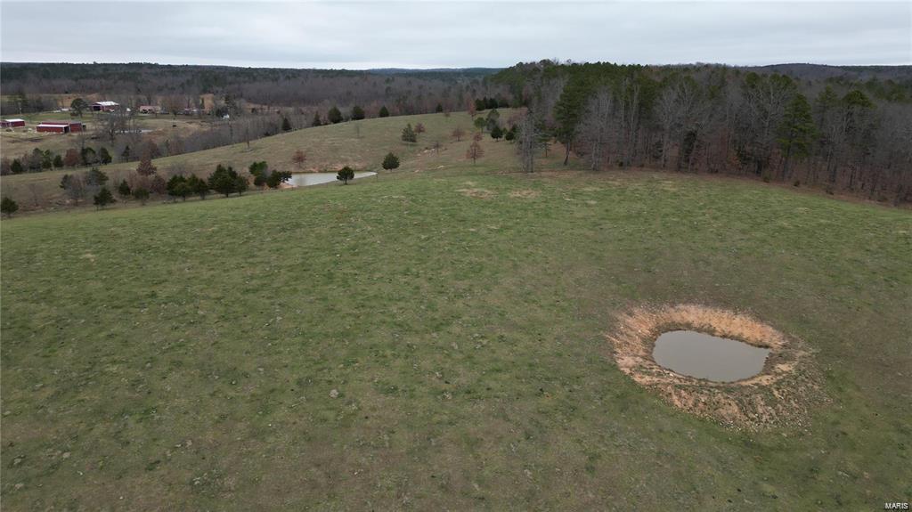 Farm/Ranch/Land for sale – 15524  CR 615   Birch Tree, MO