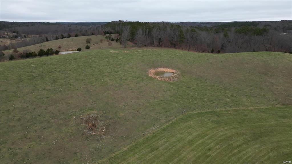 Farm/Ranch/Land for sale – 15524  CR 615   Birch Tree, MO