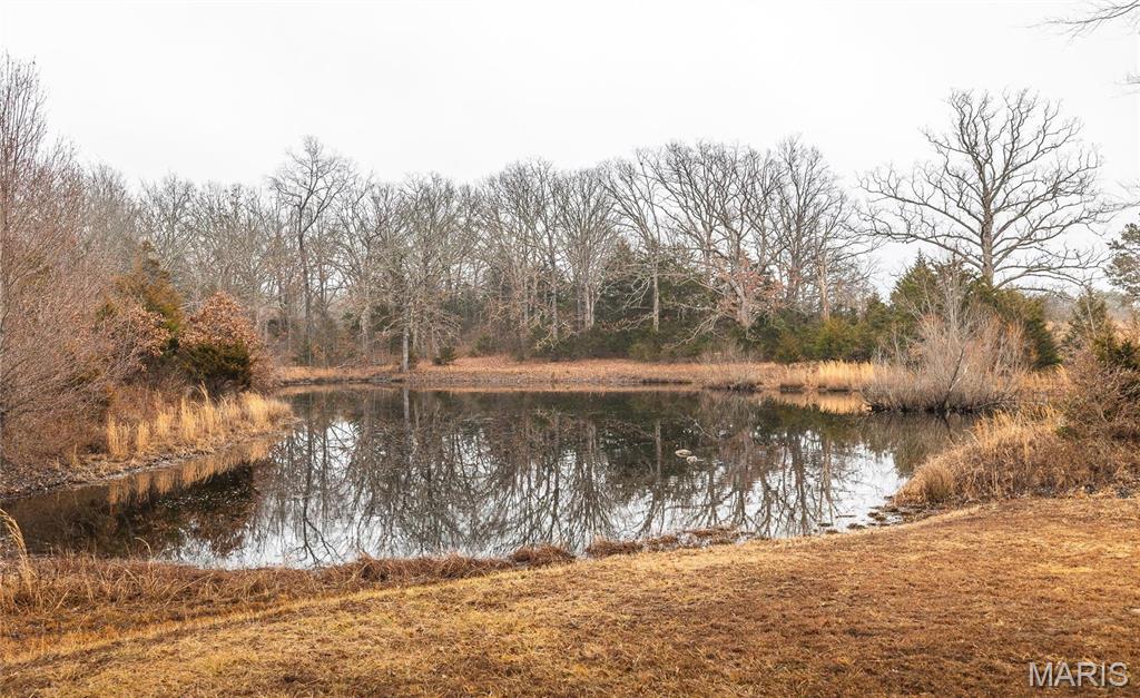 Photo 39 - Farm for sale – 5258  Highway 68   Salem, MO