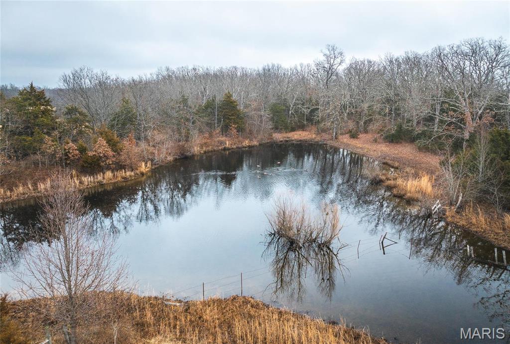 Photo 34 - Farm for sale – 5258  Highway 68   Salem, MO