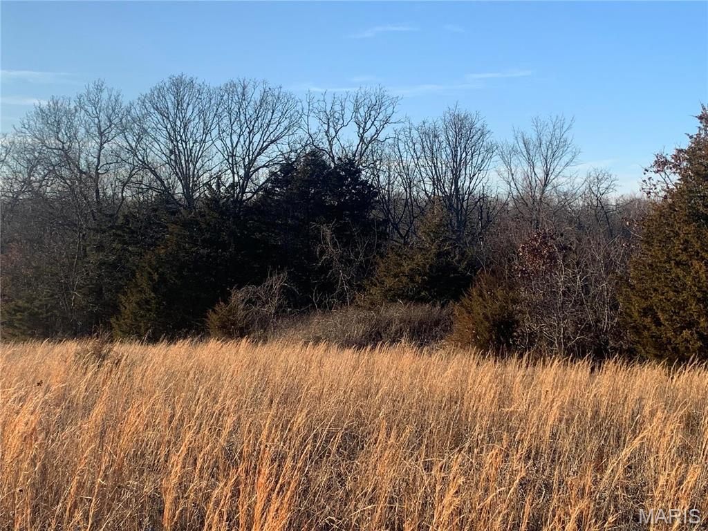Farm for sale – 22892  Highway C   Rolla, MO
