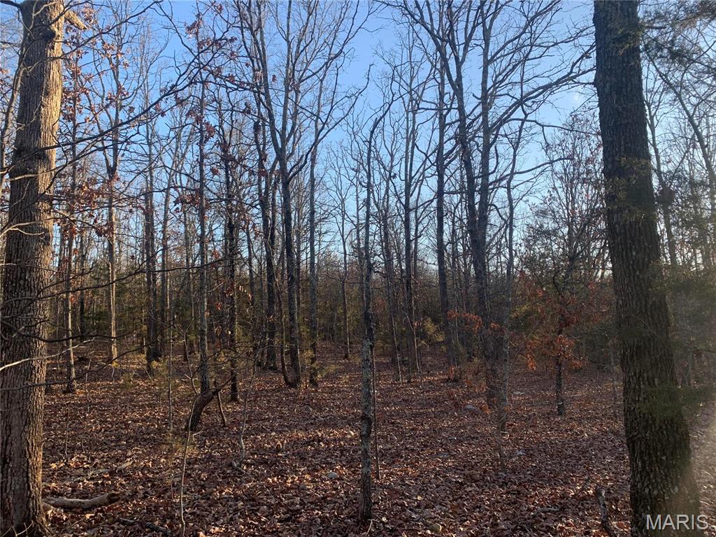 Photo 4 - Farm for sale – 22892  Highway C   Rolla, MO