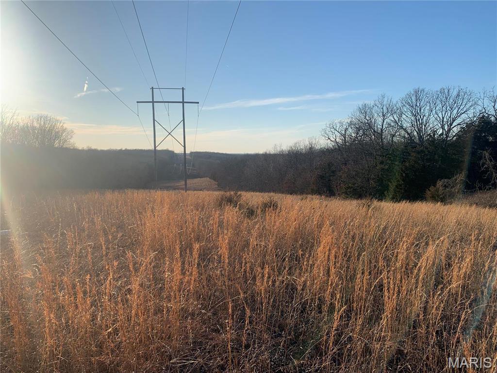 Photo 2 - Farm for sale – 22892  Highway C   Rolla, MO