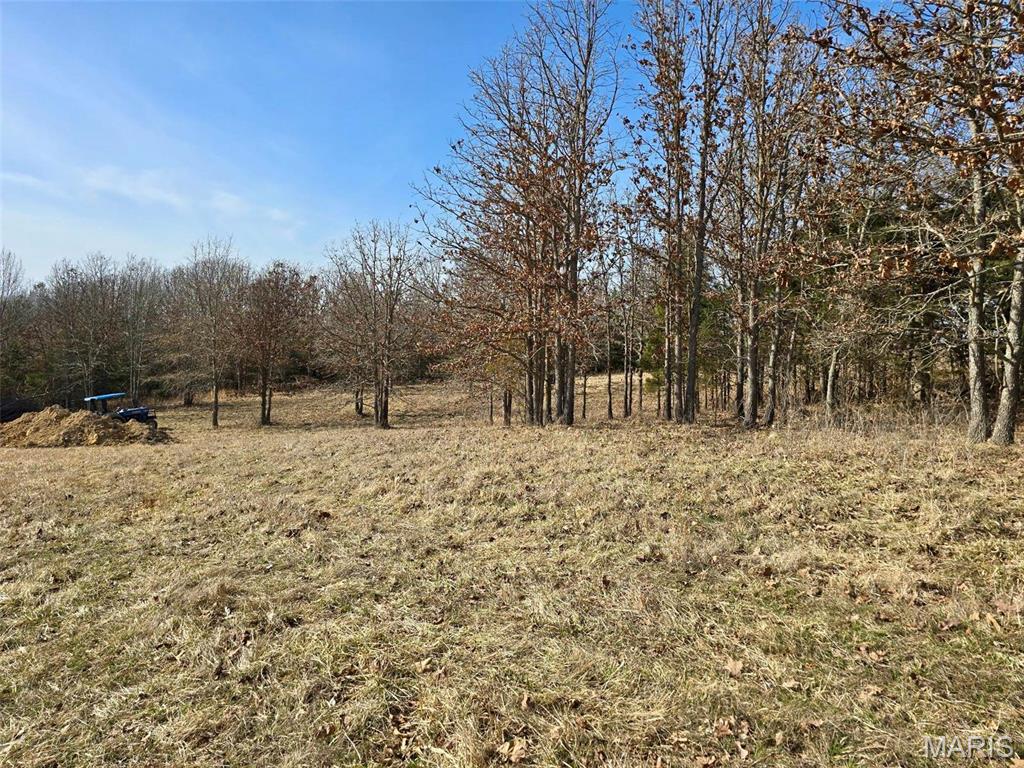 Photo 5 - Farm for sale – 45972  Hwy 72 Tract 5   Salem, MO