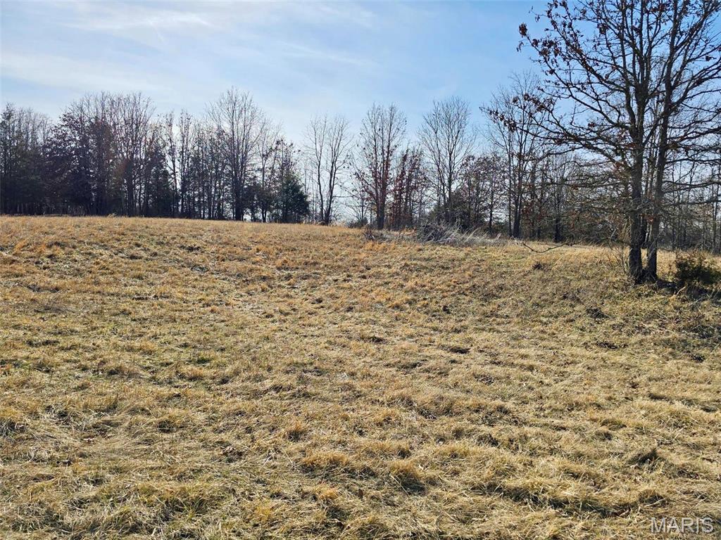 Photo 3 - Farm for sale – 45972  Hwy 72 Tract 5   Salem, MO