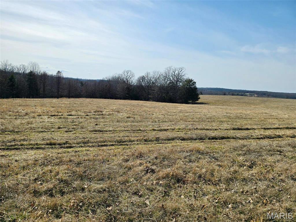 Photo 2 - Farm for sale – 45972  Hwy 72 Tract 5   Salem, MO