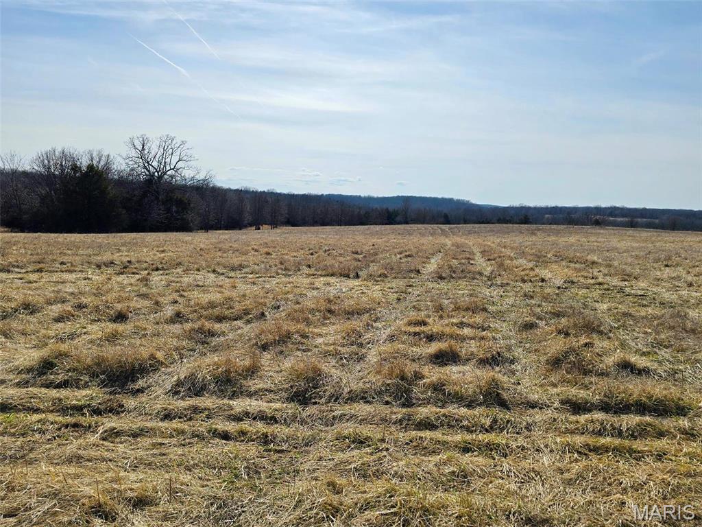 Photo 4 - Farm for sale – 45972  Hwy 72 Tract 5   Salem, MO