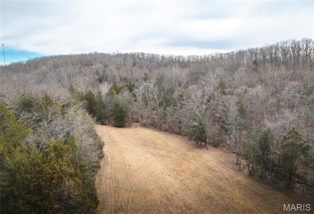 Photo 39 - Farm for sale – 13428  private Drive 7139   Rolla, MO