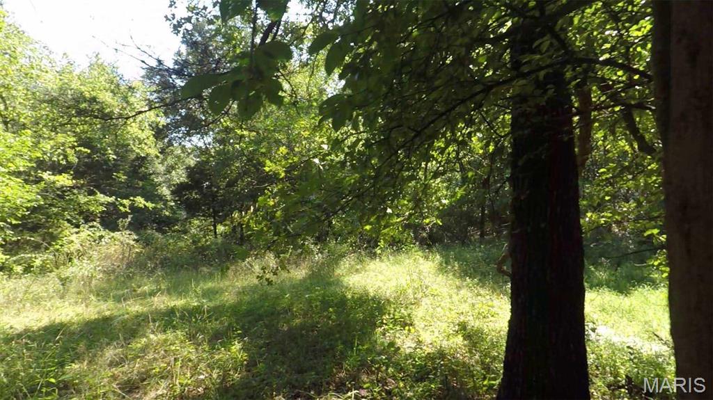 Photo 24 - Farm for sale – 0  Hwy 72/County Road 4080   Rolla, MO