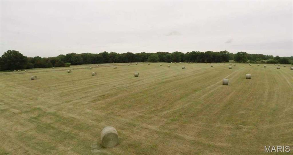 Photo 19 - Farm for sale – 0  Hwy 72/County Road 4080   Rolla, MO