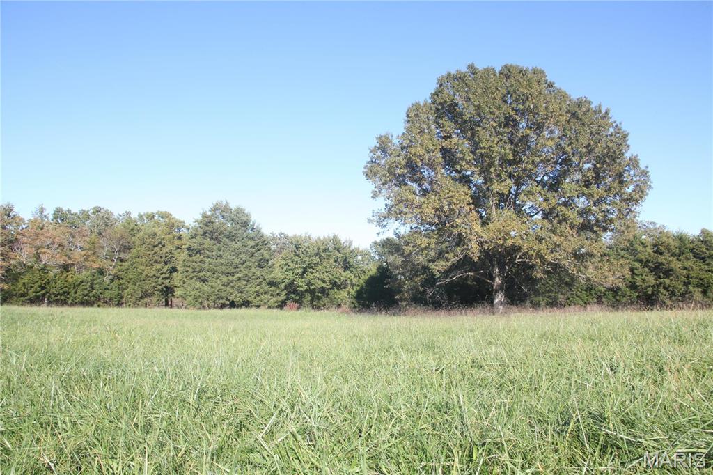 Photo 2 - Farm for sale – 0  Hwy 72/County Road 4080   Rolla, MO