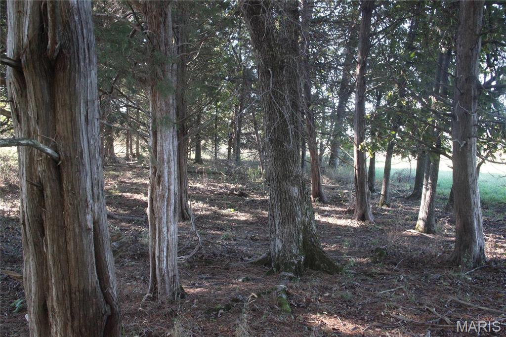 Photo 17 - Farm for sale – 0  Hwy 72/County Road 4080   Rolla, MO