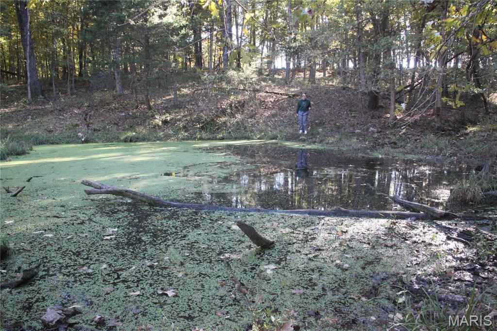 Photo 7 - Farm for sale – 0  Hwy 72/County Road 4080   Rolla, MO