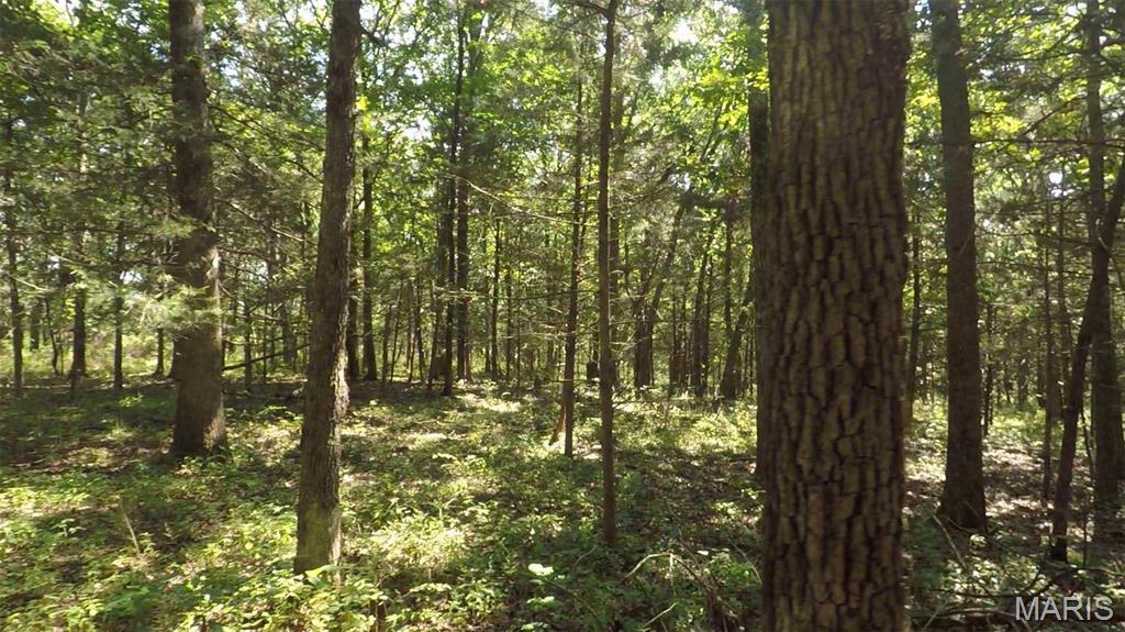 Photo 26 - Farm for sale – 0  Hwy 72/County Road 4080   Rolla, MO