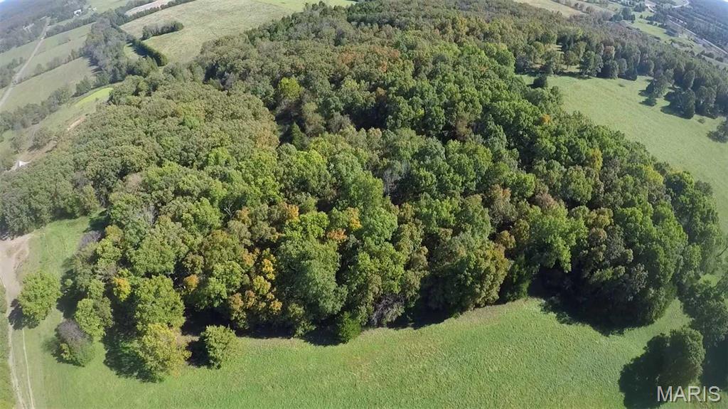 Photo 14 - Farm for sale – 0  Hwy 72/County Road 4080   Rolla, MO