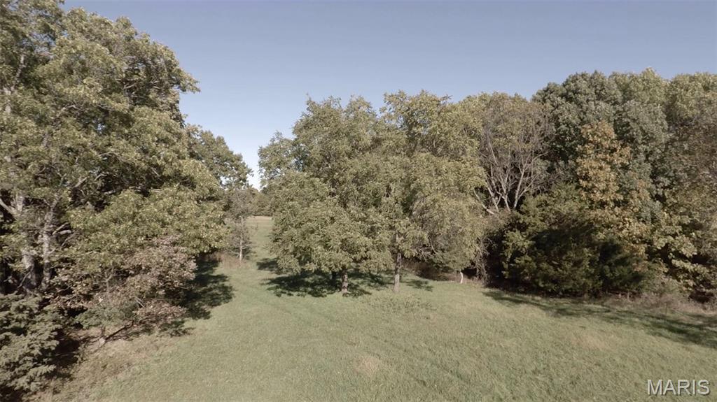 Photo 8 - Farm for sale – 0  Hwy 72/County Road 4080   Rolla, MO