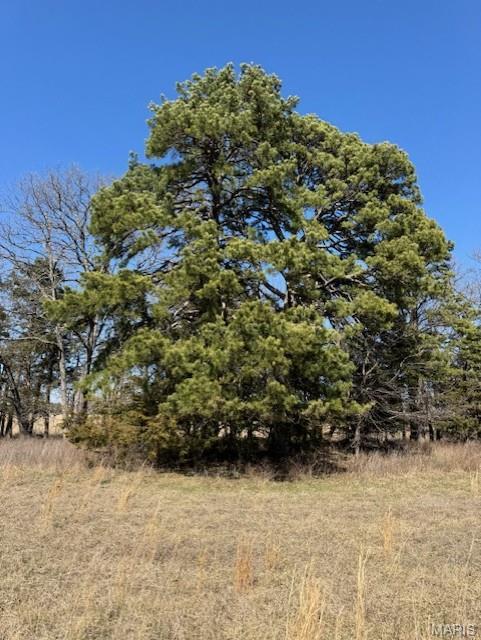 Photo 3 - Farm for sale – 0  Hwy 72/County Road 4080   Rolla, MO